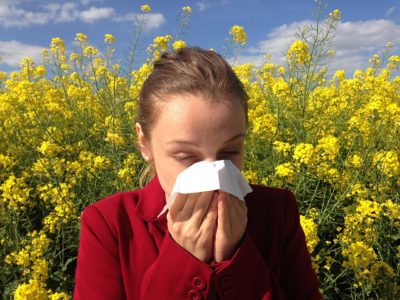 Are Allergies to Blame for Dental Problems?